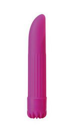 Vibrator CLASSIC VIBE PURPLE SMALL Toyz4lovers